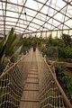 leipzig zoo-01_07_2011_gondwanaland_140